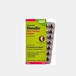 SALUS 铁元叶酸片