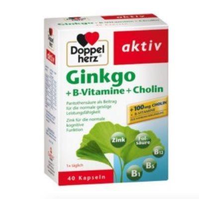 DOPPELHERZ 高端系列银杏提取物