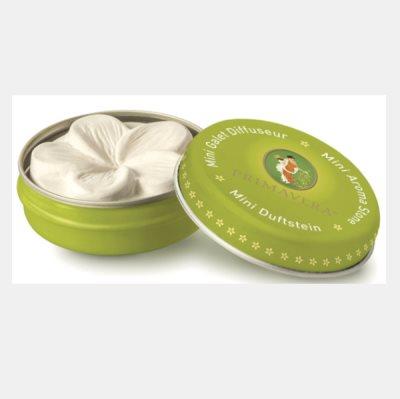 PRIMAVERA 迷你扩香石